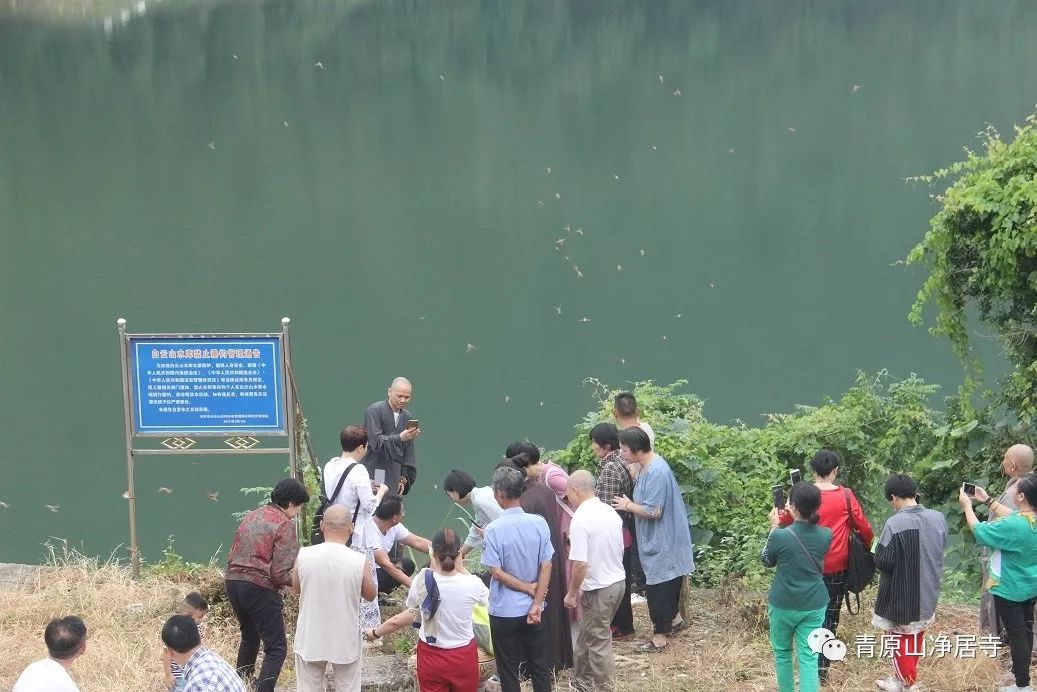 青原山净居寺举行追思缅怀体光老和尚圆寂十五周年纪念系列活动