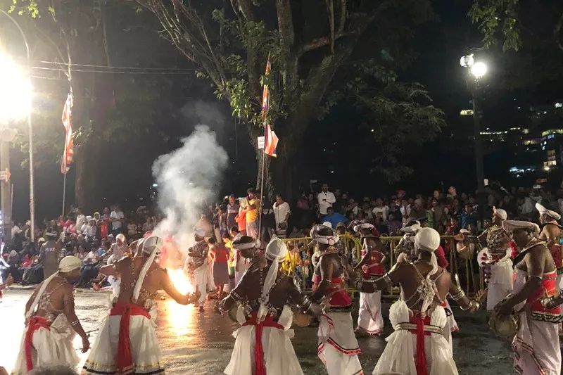 普法法师率中国佛教代表团赴斯里兰卡参加佛牙节庆祝活动