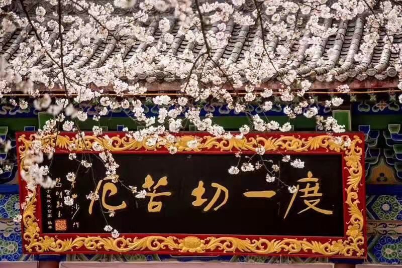 正慈法师“湖北加油”日记系列七：愿春雨洗却受伤的心灵（2月11日—12日）