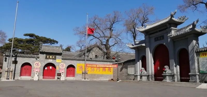 菩萨垂泪 春风含悲|吉林省全省佛教活动场所降半旗志哀