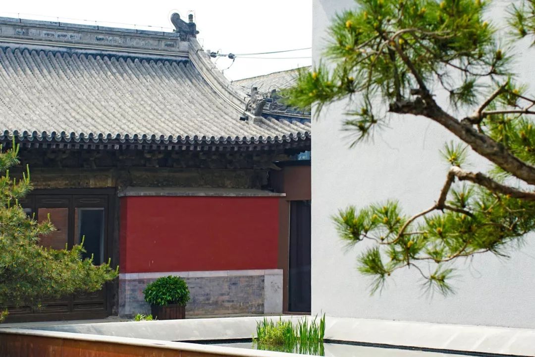 老外花5年在故宫边修复了一座寺庙，不收门票，免费开放