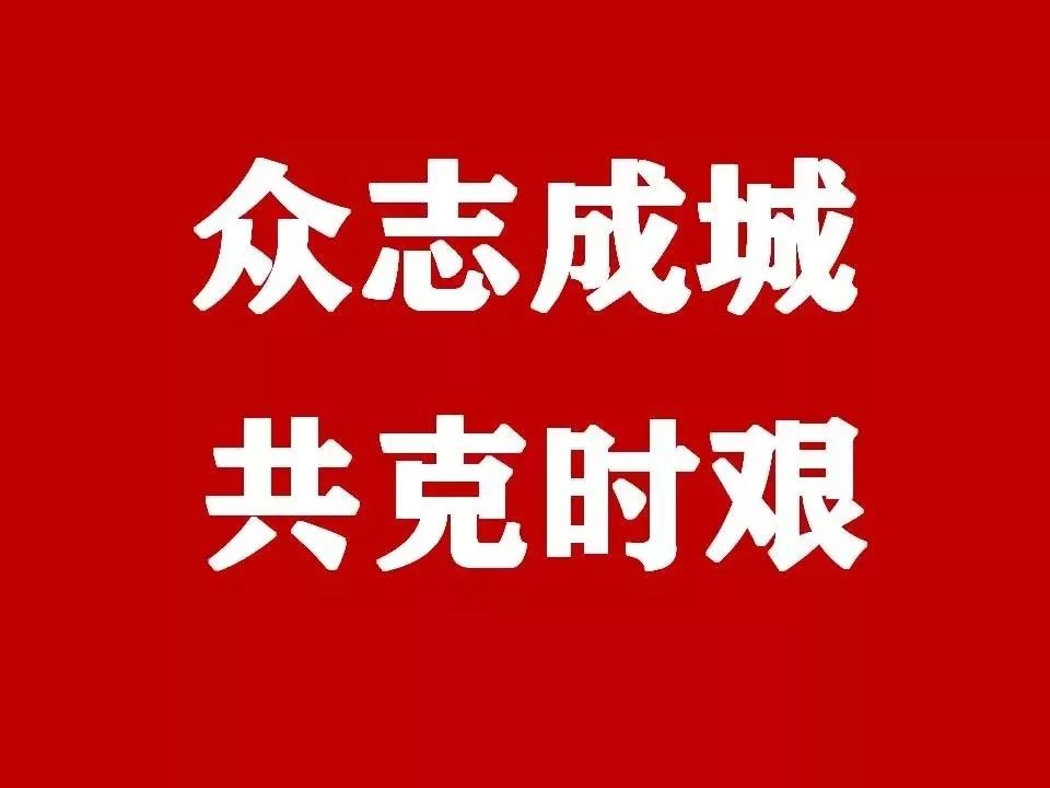 身处疫情中心 湖北佛教界发生了什么？