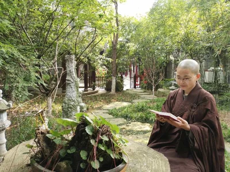 封城两个月 八位武昌佛学院尼僧倾情讲述自己的经历感受