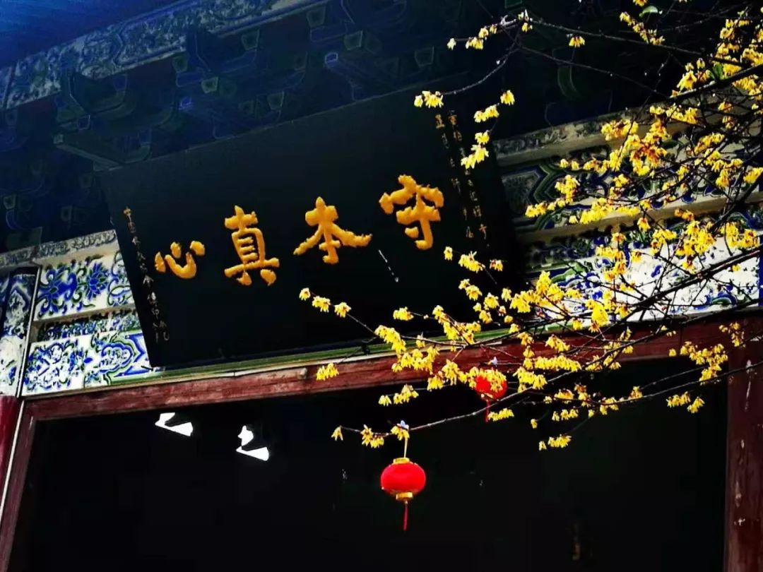 正慈法师“湖北加油”日记：愿春雨洗却受伤的心灵（2月11日—12日）