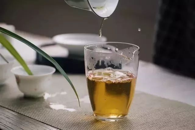 拷问白茶:get 这几招,能解决90%与白茶有关的问题!