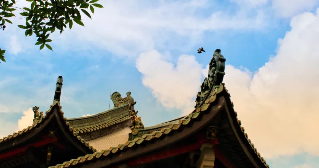 当逃避成为捷径 这是真正的“佛系”?