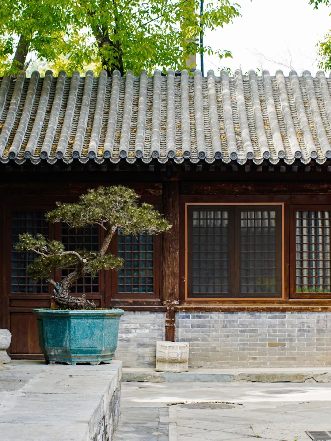 老外花5年在故宫边修复了一座寺庙，不收门票，免费开放