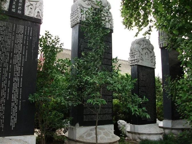 佛教三论宗祖庭草堂寺方丈圆寂 这个寺院为何受关注?