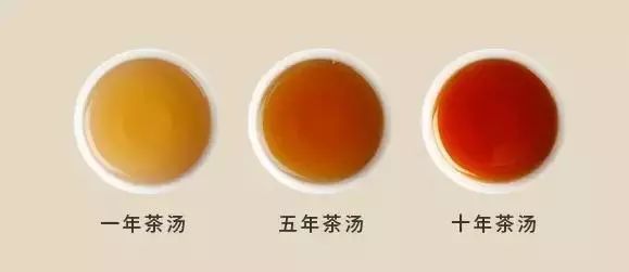 拷问白茶:get 这几招,能解决90%与白茶有关的问题!