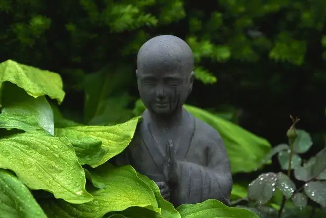净因法师：我们该如何面对疫情，消除心中的阴霾