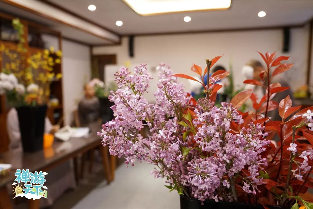 禅游札记 | “禅意”满满的海幢寺,直教人流连忘返!