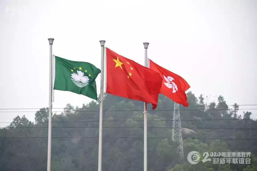 【跨年组图】同心同德迎新年!粤港澳三地佛教一家亲