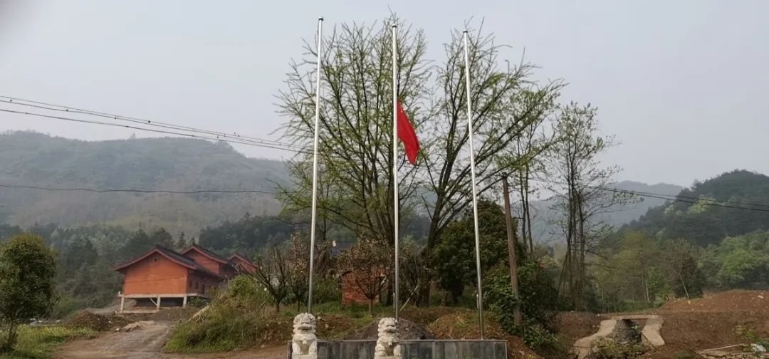 缅怀英烈,悼念同胞 | 湖北省佛教界举行哀悼活动
