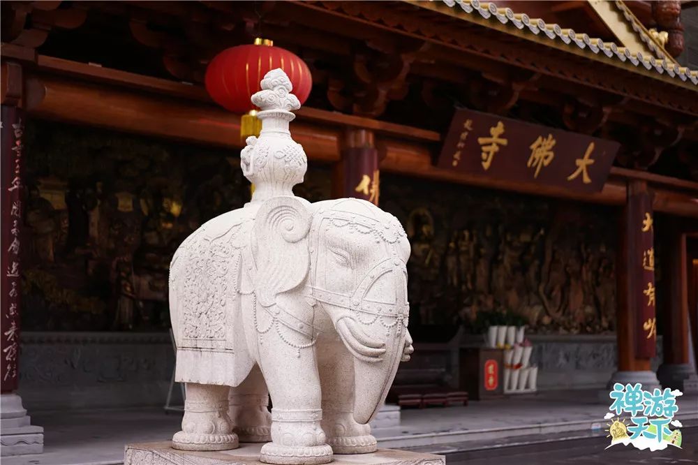 禅游札记 | 超出想象!网友眼中的大佛寺 到底“网红”在哪里?