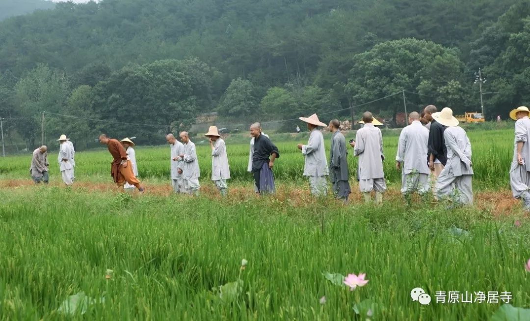 青原山净居寺举行追思缅怀体光老和尚圆寂十五周年纪念系列活动
