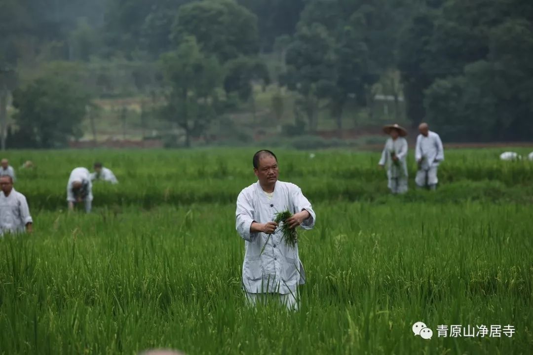 青原山净居寺举行追思缅怀体光老和尚圆寂十五周年纪念系列活动