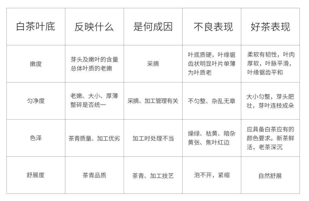 拷问白茶:get 这几招,能解决90%与白茶有关的问题!