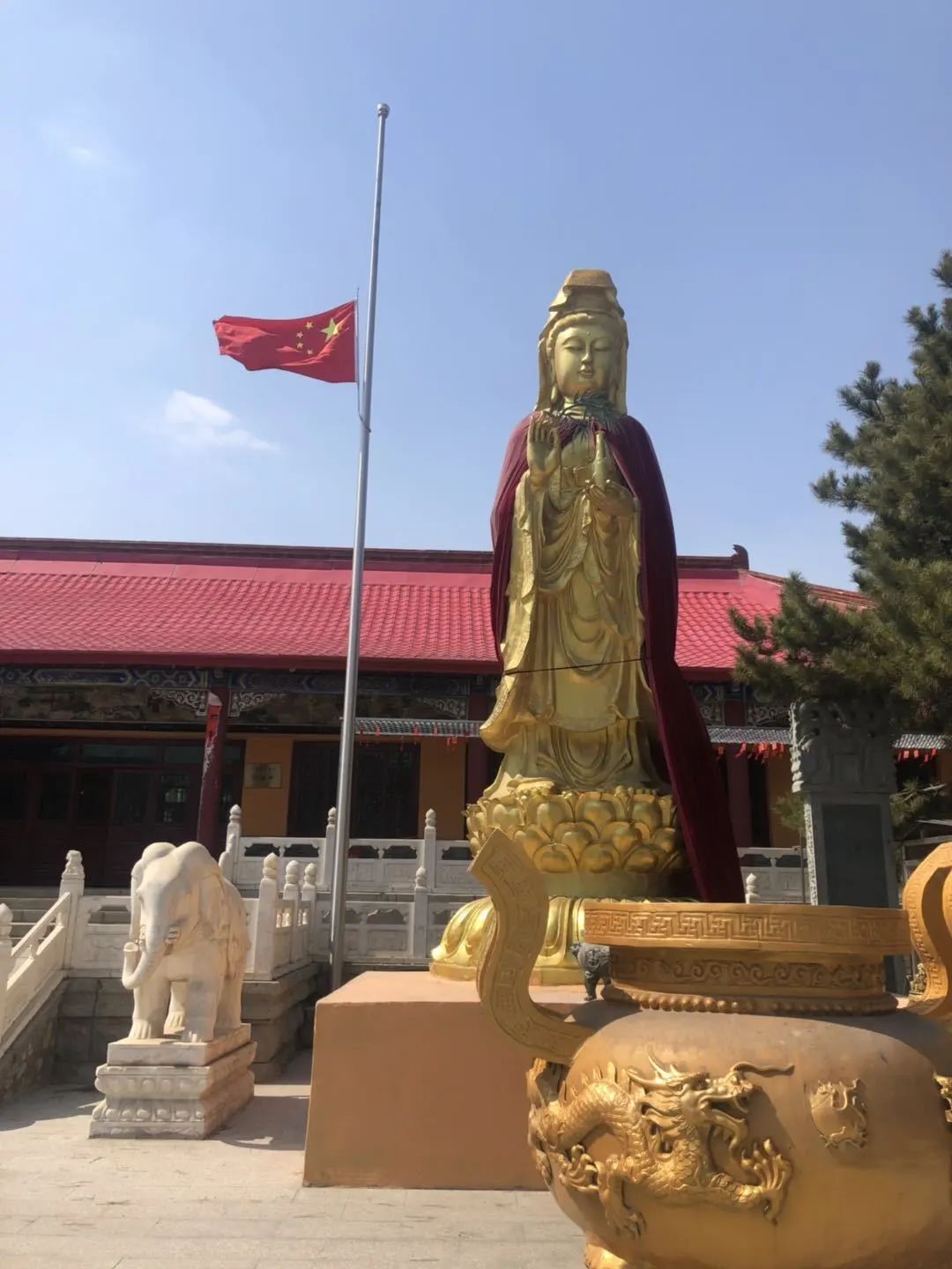 菩萨垂泪 春风含悲|吉林省全省佛教活动场所降半旗志哀