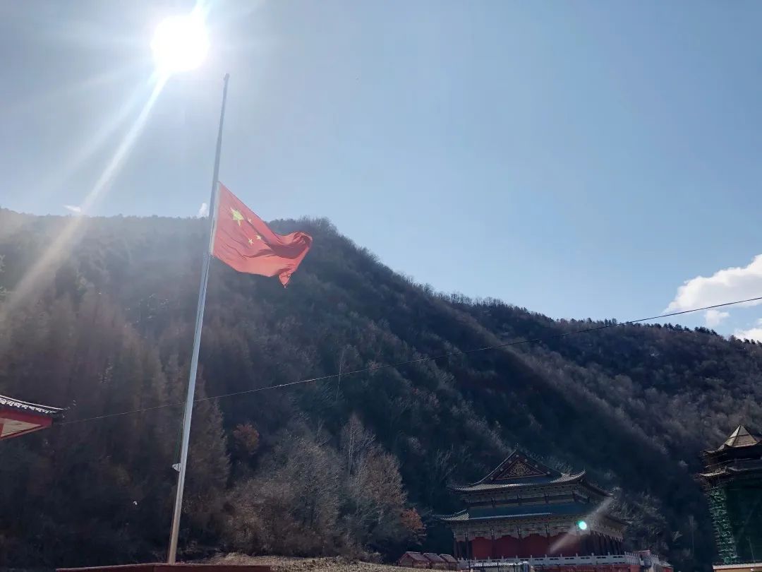 菩萨垂泪 春风含悲|吉林省全省佛教活动场所降半旗志哀