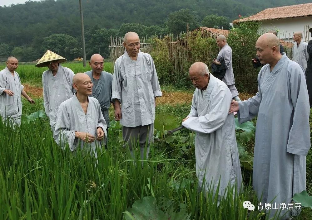 青原山净居寺举行追思缅怀体光老和尚圆寂十五周年纪念系列活动