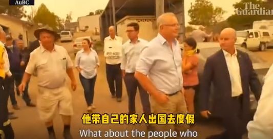 祈愿早日扑灭！5亿动物被烧、8000只考拉丧生……澳洲在失控的大火中悲鸣