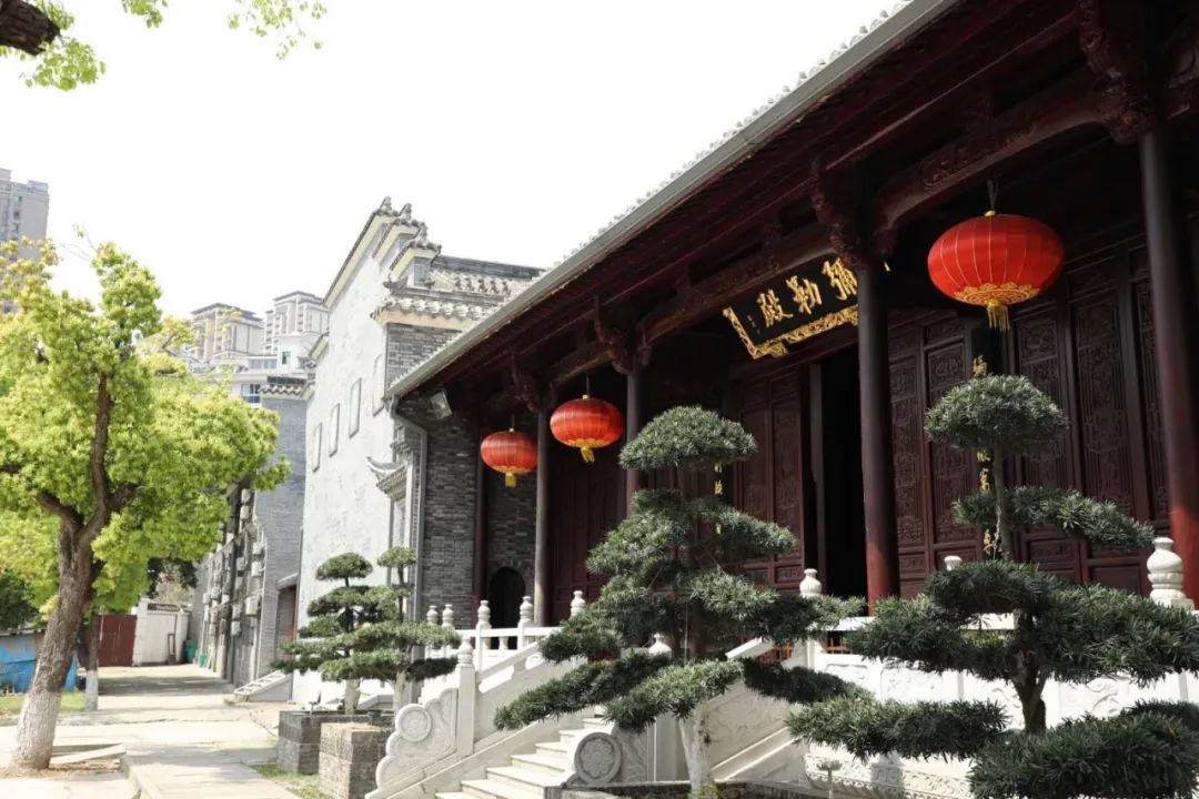 封城两个月 八位武昌佛学院尼僧倾情讲述自己的经历感受