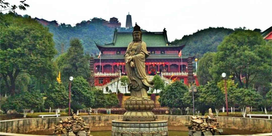 印空长老尼迎来百岁寿辰,她在人间如何践行佛法?