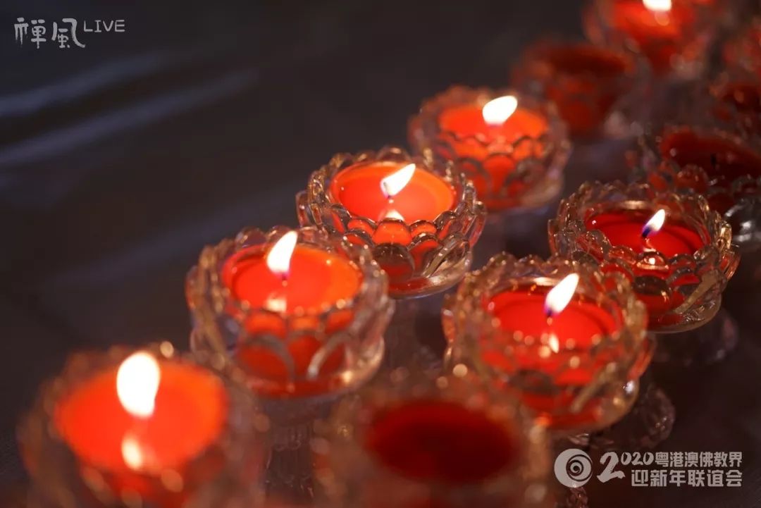 【跨年组图】同心同德迎新年!粤港澳三地佛教一家亲