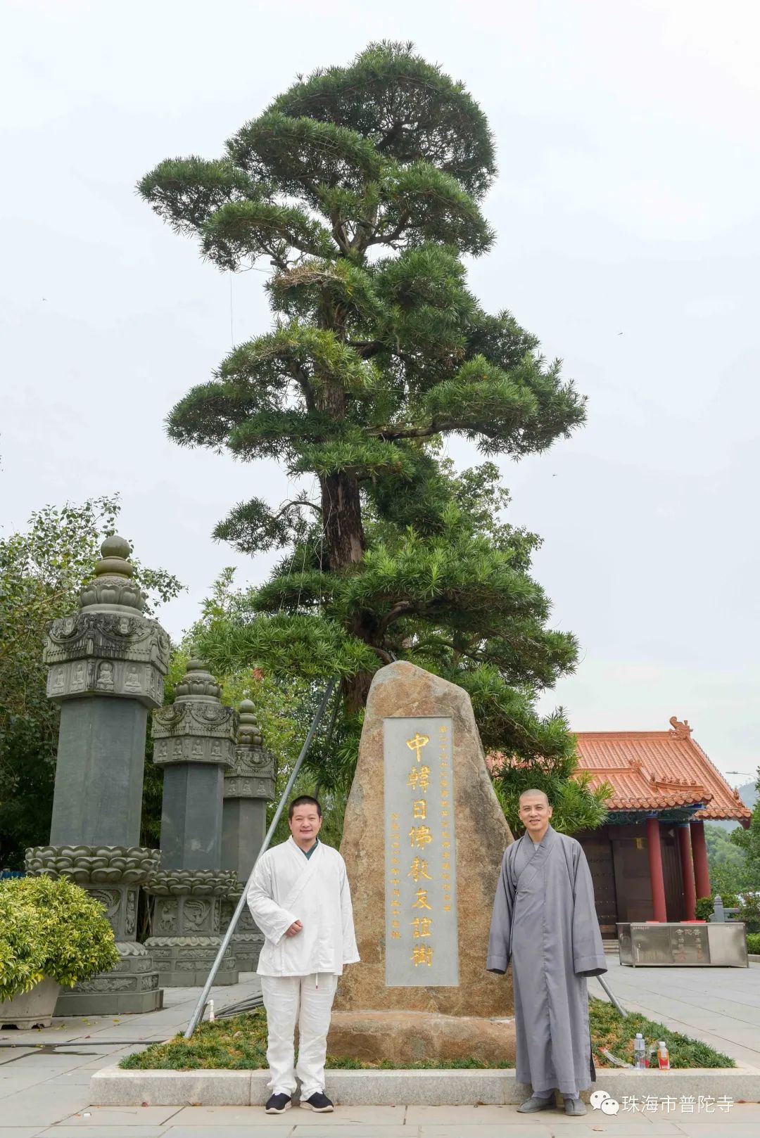 国际著名诗人、书画家李垚治先生参访珠海普陀寺 写下散文诗《书 僧》留住法喜