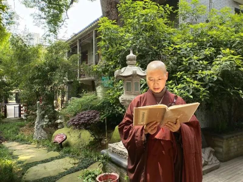 封城两个月 八位武昌佛学院尼僧倾情讲述自己的经历感受