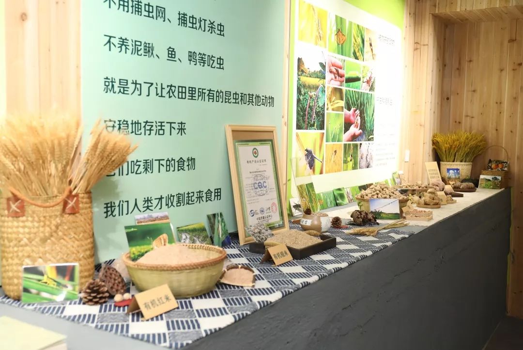 报道 | 上虞多宝讲寺建寺二十周年庆典暨佛像开光活动隆重举行