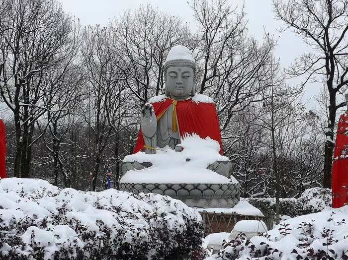 正慈法师“湖北加油”日记系列十：希望这场梦早点醒过来（2月14日至16日）