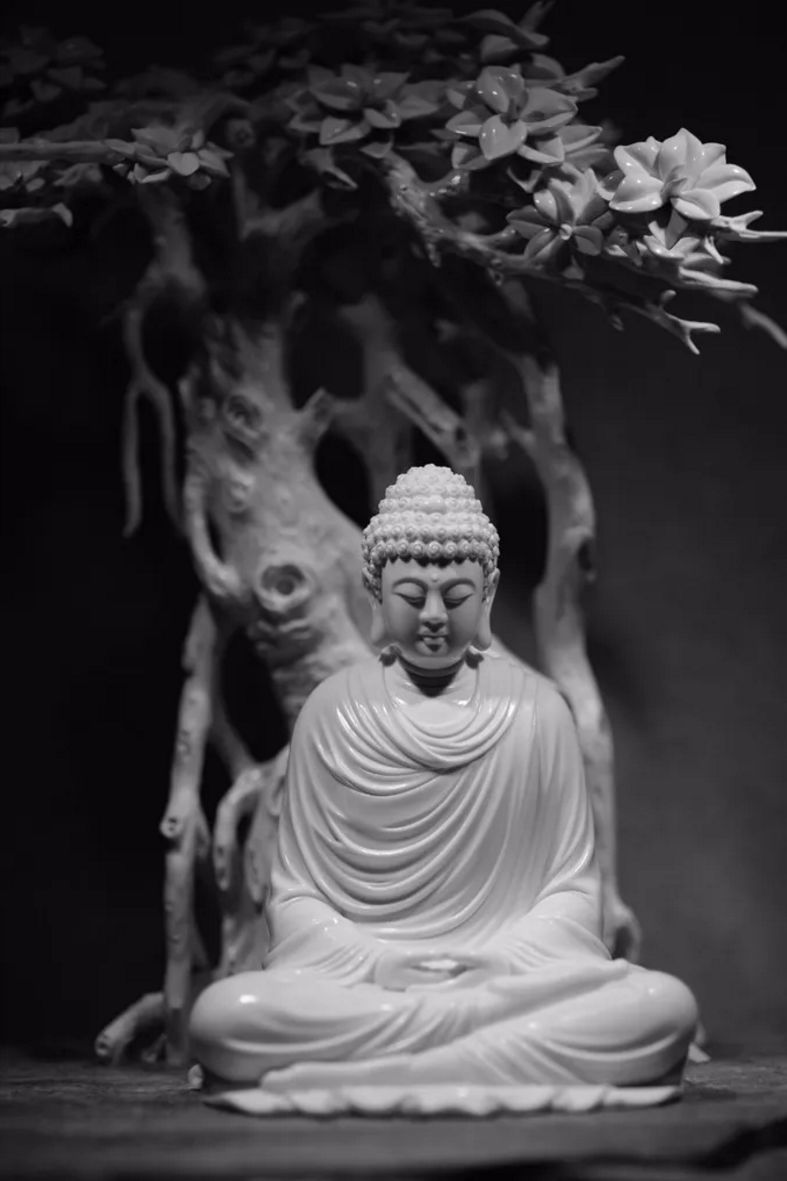 美图回顾 | 2019厦门佛事展华彩盛放!每个画面都让你心动