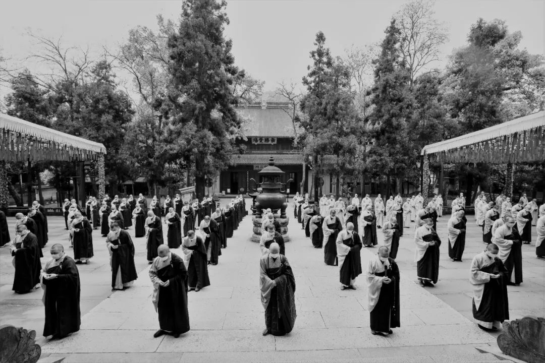 新闻 | 清明节杭州灵隐寺为大众抗疫诵经祈福  为牺牲烈士和逝世同胞降半旗深切哀悼