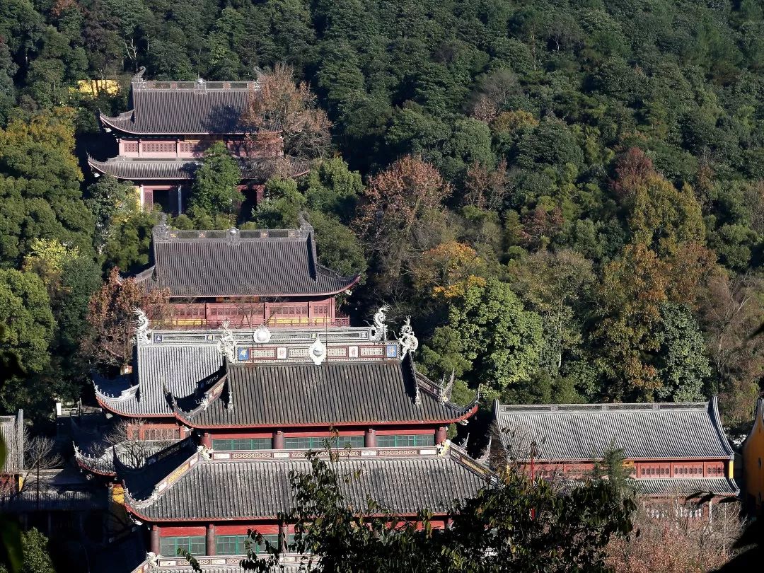 喜迎70华诞 | 杭州灵隐寺庆国庆系列文化活动丰富多彩