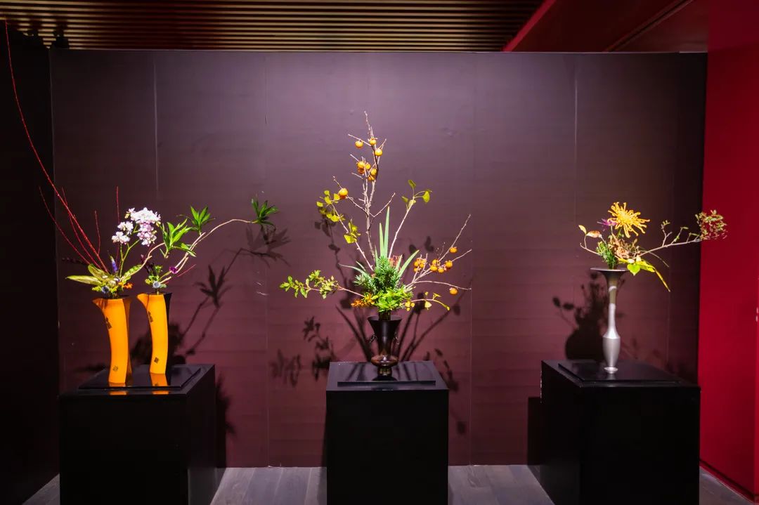 “空华水月·玉佛印心”玉佛禅寺·华道家元池坊作品展圆满开幕！