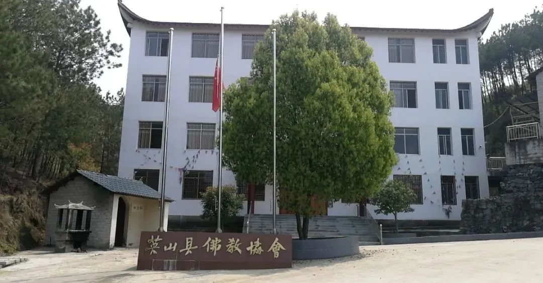 缅怀英烈,悼念同胞 | 湖北省佛教界举行哀悼活动