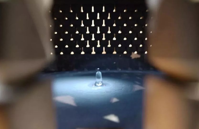 美图回顾 | 2019厦门佛事展华彩盛放!每个画面都让你心动