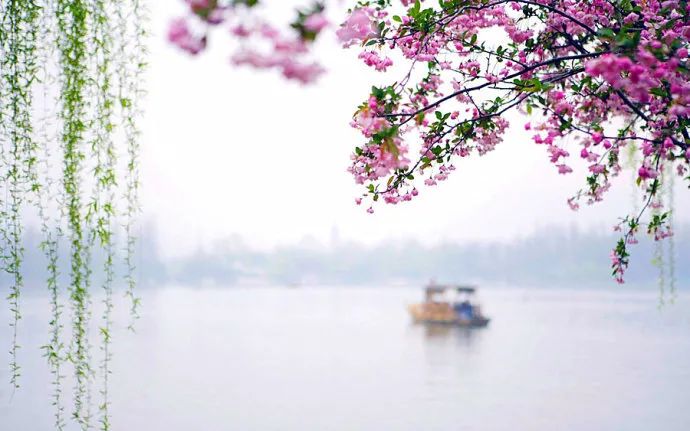清明的怀念 | 湖北省佛教界哀悼诗文