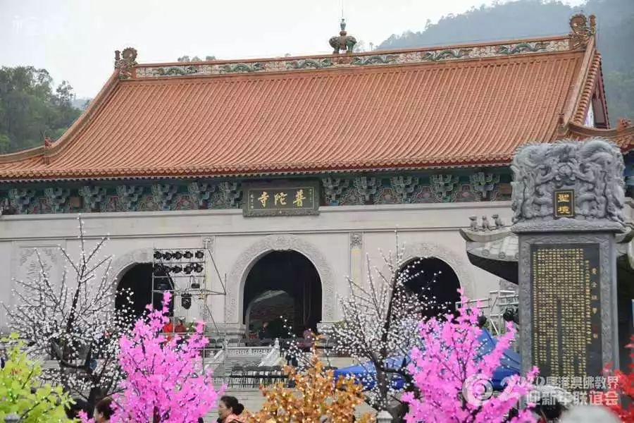【跨年组图】同心同德迎新年!粤港澳三地佛教一家亲