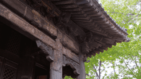 老外花5年在故宫边修复了一座寺庙，不收门票，免费开放