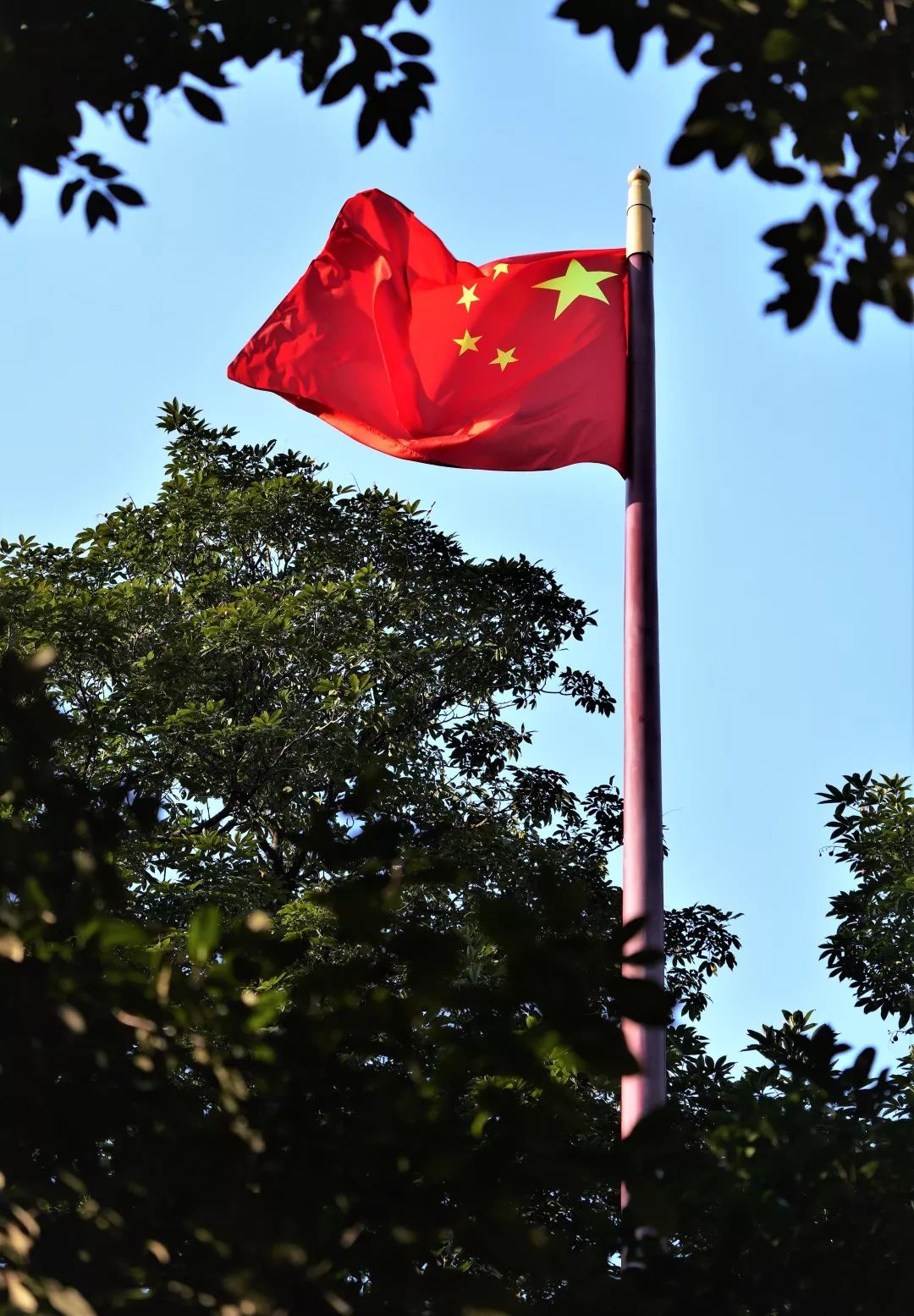 喜迎70华诞 | 杭州灵隐寺庆国庆 系列文化活动 丰富多彩