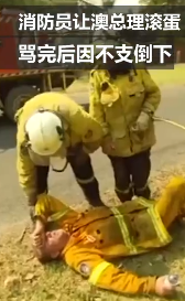 祈愿早日扑灭！5亿动物被烧、8000只考拉丧生……澳洲在失控的大火中悲鸣