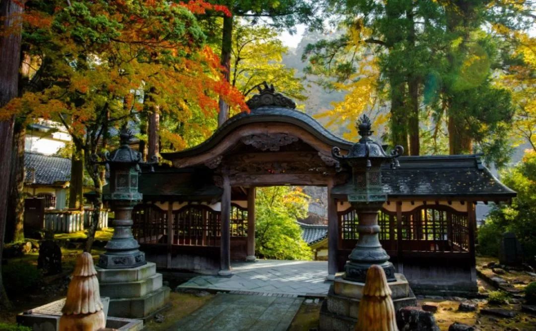 台风侵袭下屹立的天童禅寺 居然有这么多有趣的历史