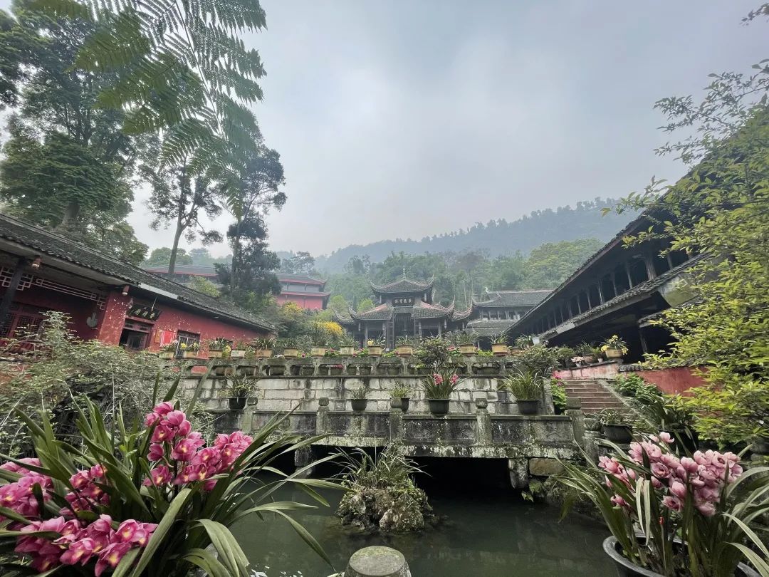 峨眉山上的五座比丘尼寺院（图）