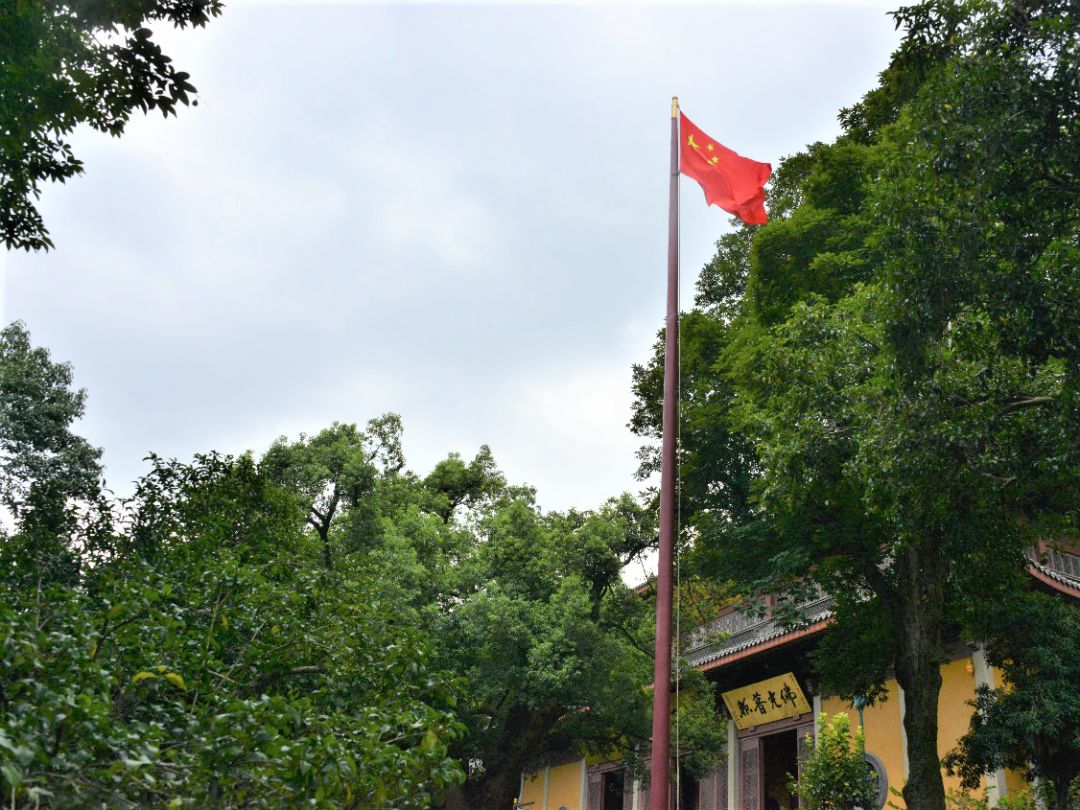 国家宪法日 | 杭州灵隐寺开展“宪法宣传周”活动