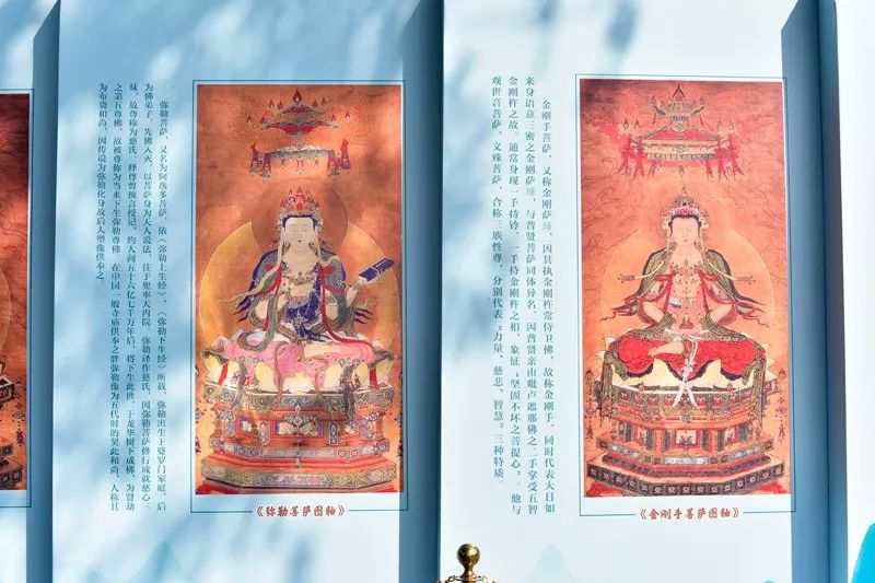 真听真看真感受 在南普陀寺水陆法会玩跨界