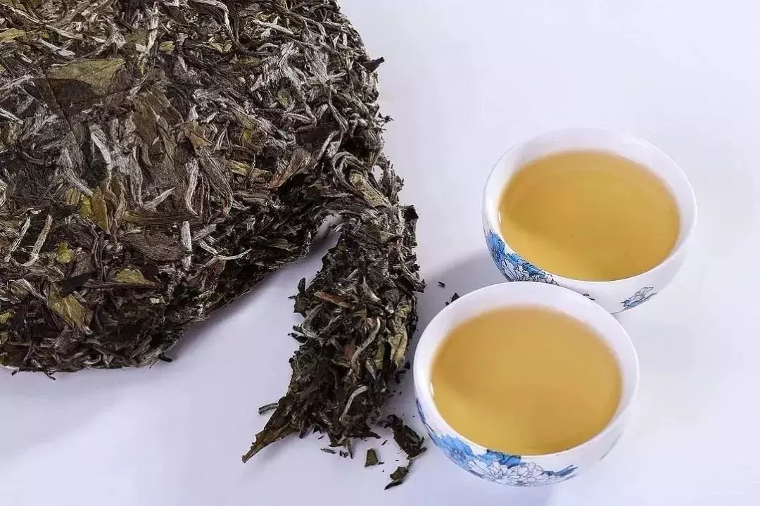 拷问白茶:get 这几招,能解决90%与白茶有关的问题!