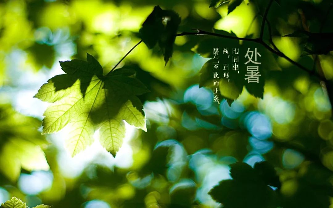 行脚只是徒步旅行?佛门“踏破铁鞋”的修行方式了解一下