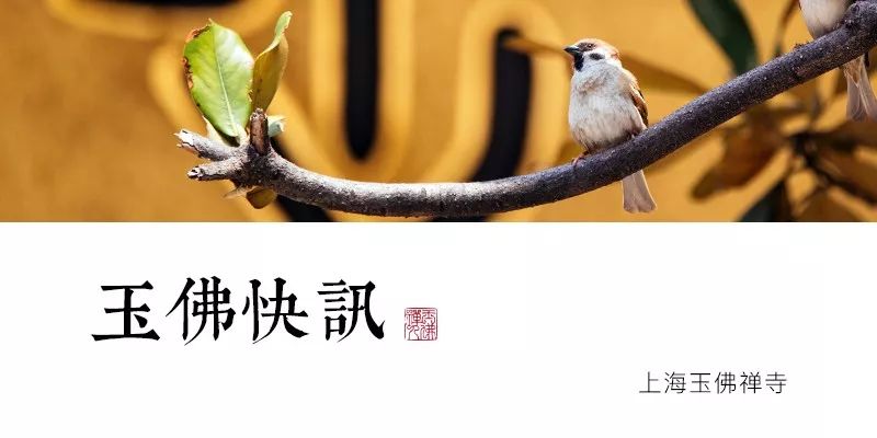 玉佛禅寺举行“祝福上海—2020上海市社会各界迎新年慈善晚会”